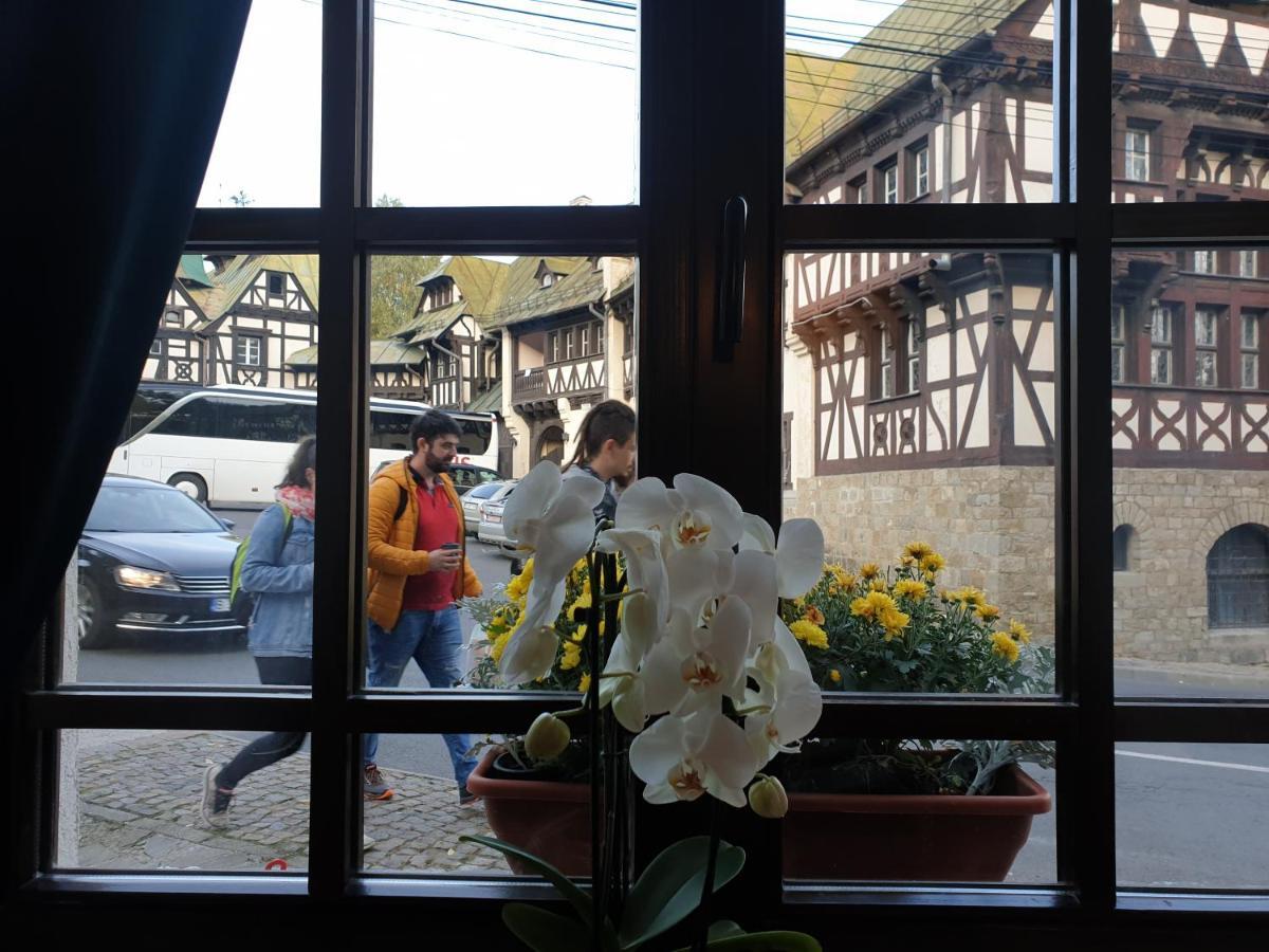 Hotel Boutique Vila Lakastel 시나이아 외부 사진